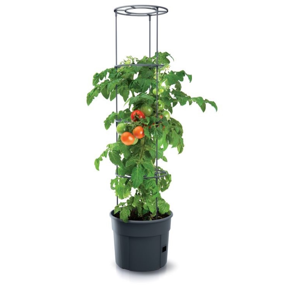 Květináč na pěstování rajčat TOMATO GROWER antracit 29,5cm (max. výška: 115,2cm)