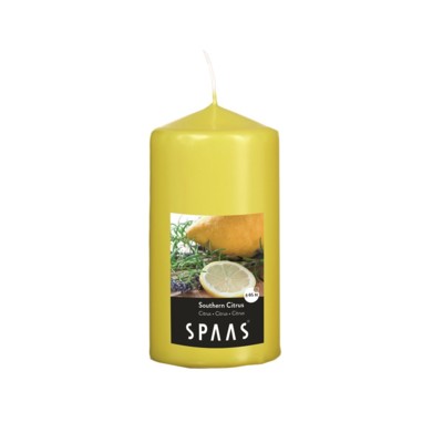 SPAAS Vonná svíčka válec citrus 8x15cm