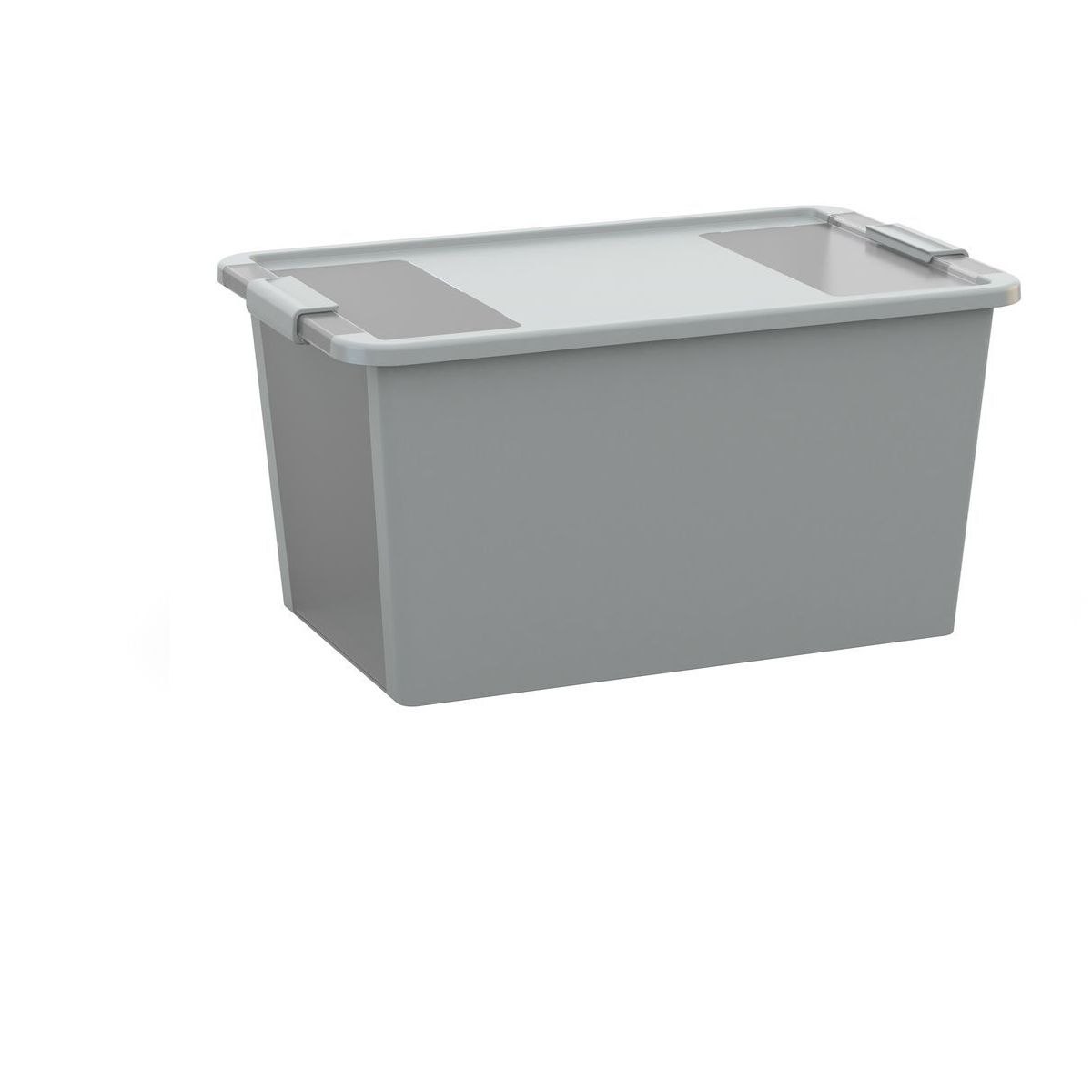 Úložný Bi Box L šedý, 40 L