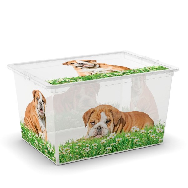 Úložný box C-BOX XL 50l, puppy