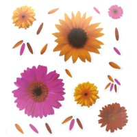 Dekorativní samolepky - sada květů různé barvy