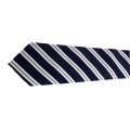 Hedvábná kravata Giori Milano RS0805, modro-bílá