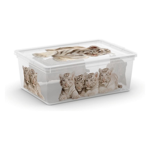 Úložný box Style Wild S, 10,5 litrů s motivem lvíčat